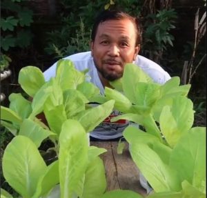 Pot Sistem Wick dengan Botol Bekas