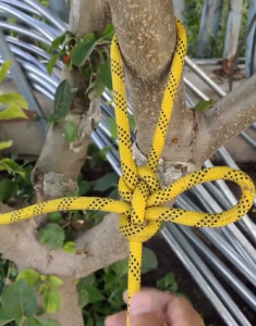 Cara Mengikat Simpul dengan Mudah dan Cepat – DKISP Tarakan