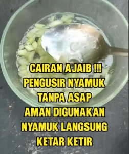 Cara Ajaib Mengusir Nyamuk Tanpa Asap